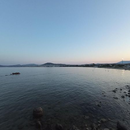 Flat With Garden Near Sea, Port And Airport Apartment Artemida  Bagian luar foto