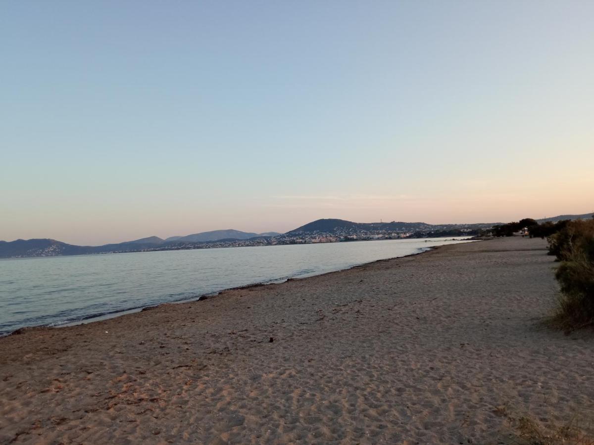 Flat With Garden Near Sea, Port And Airport Apartment Artemida  Bagian luar foto