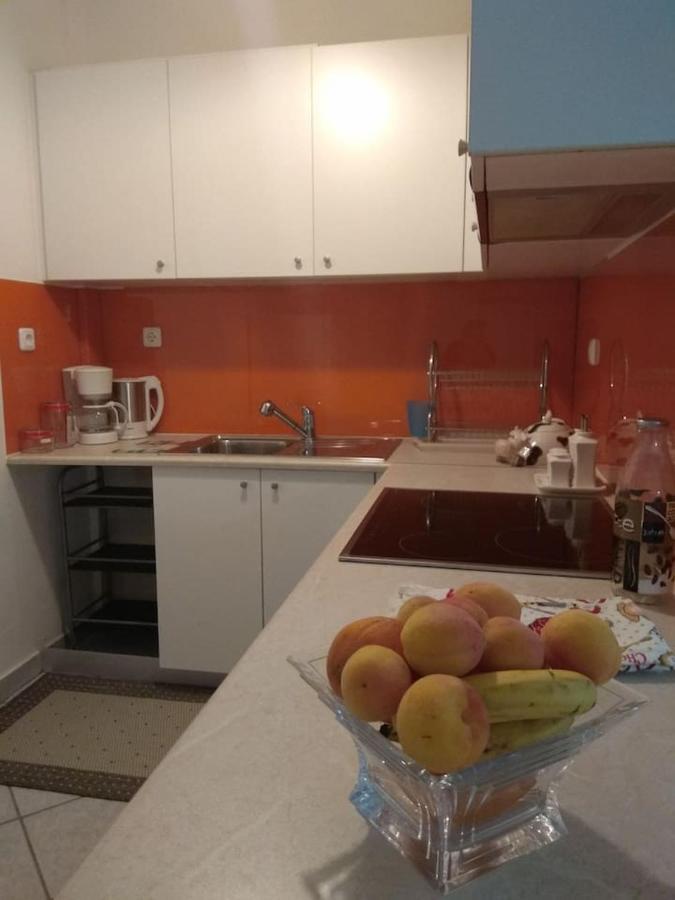 Flat With Garden Near Sea, Port And Airport Apartment Artemida  Bagian luar foto